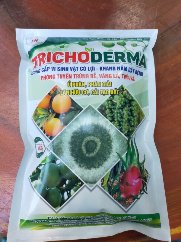  Nấm đối kháng trichoderma